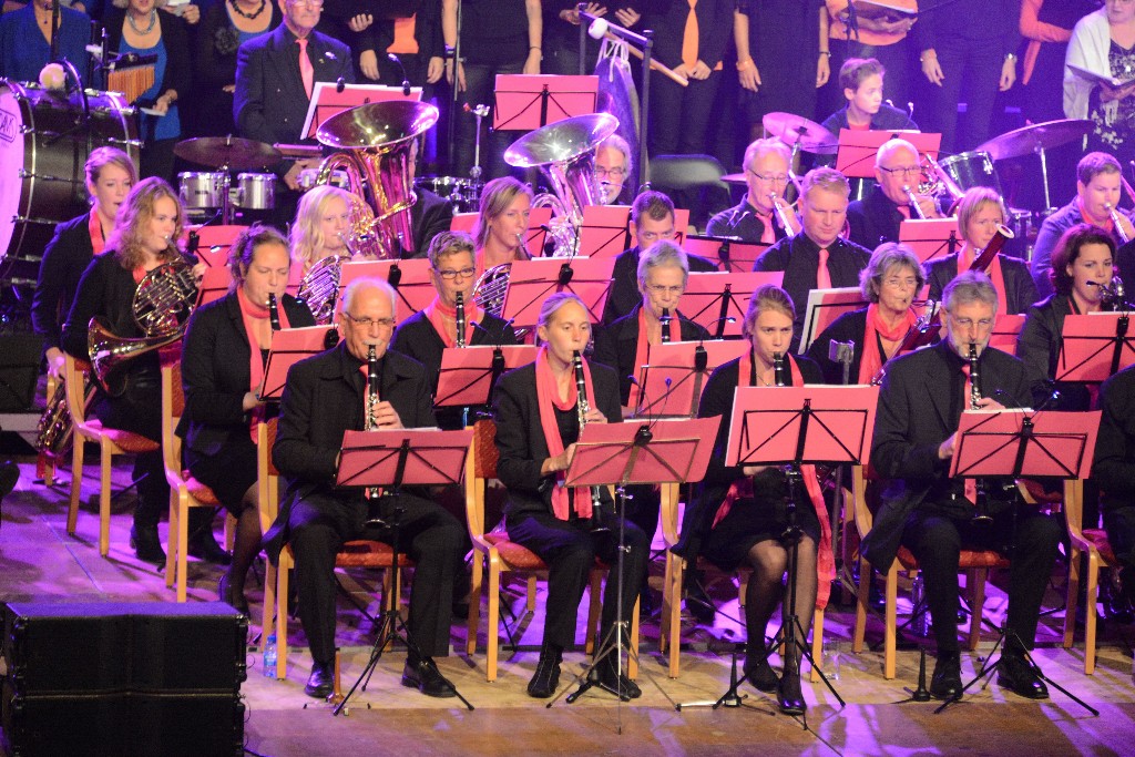 ../Images/Jubileumconcert 100 jaar Harpe Davids 022.jpg